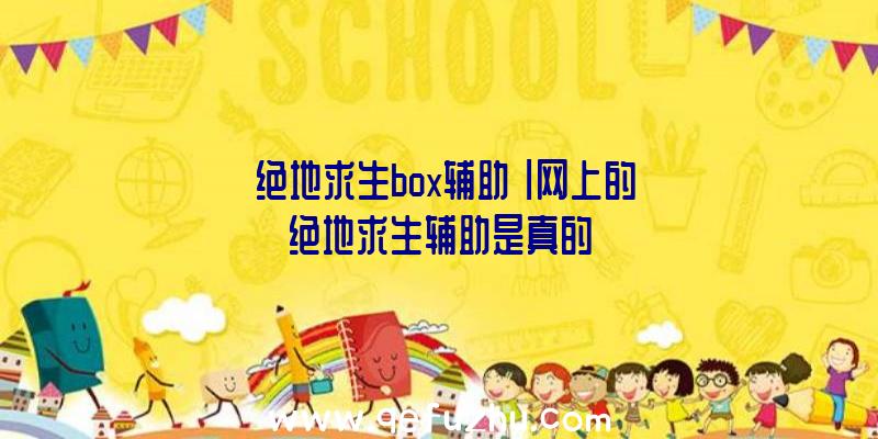 「绝地求生box辅助」|网上的绝地求生辅助是真的